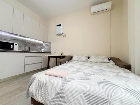 Bed, Kitchen or kitchenette, Photo of the whole room, Bedroom, minibar, air conditioner