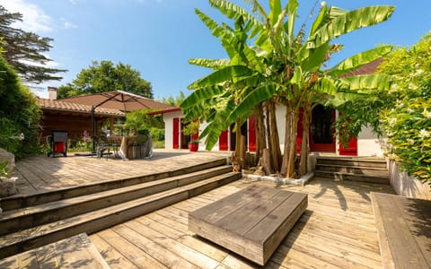 Property building, Patio, Garden view