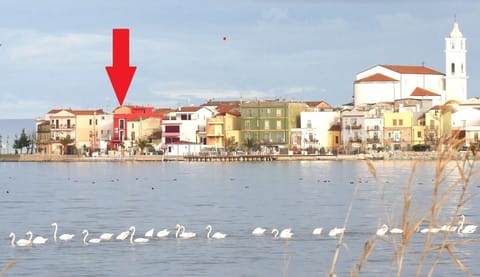 Property building, City view, Lake view