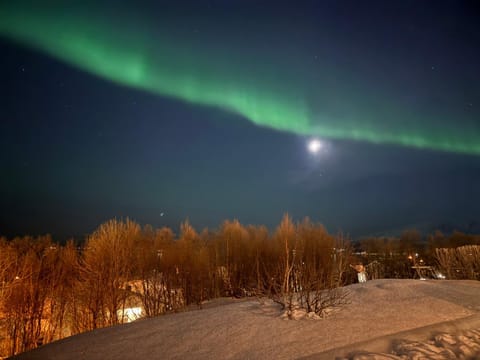 Night, Natural landscape, Winter