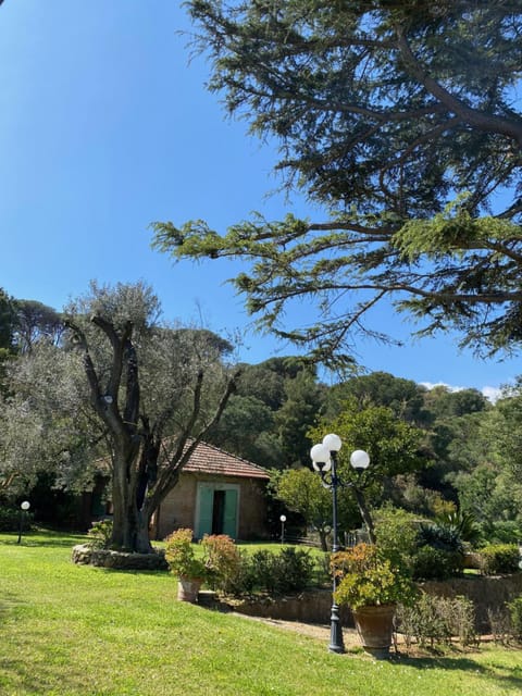 Natural landscape, Garden, Garden view