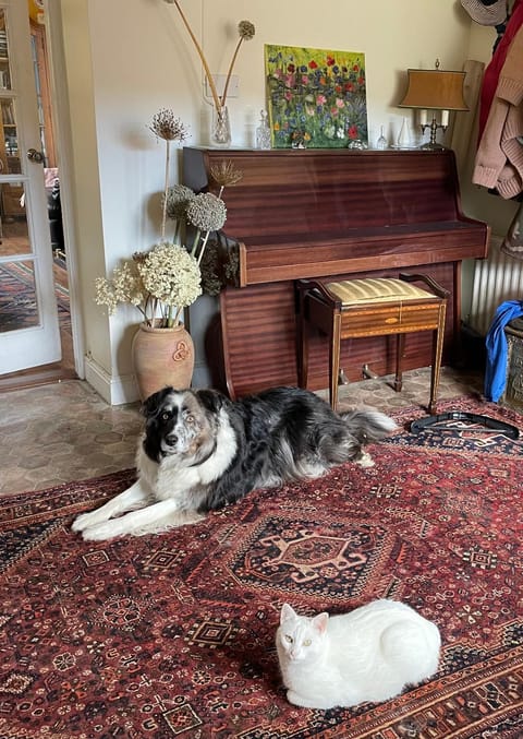 Cloonaveel House Country House in Leitrim, Co. Leitrim, Ireland