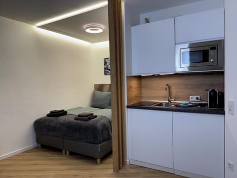Bed, Kitchen or kitchenette, Living room, kitchen