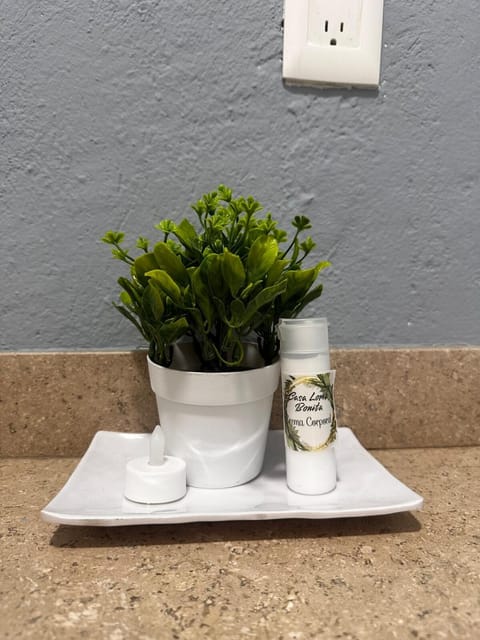 Casa Loma Bonita Cuernavaca House in Cuernavaca