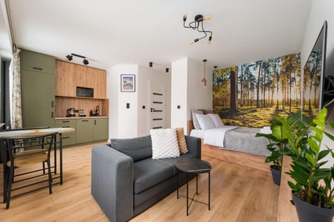 Bed, TV and multimedia, Kitchen or kitchenette, Living room, Photo of the whole room, Seating area, Dining area, Bedroom