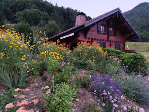 Property building, Mountain view