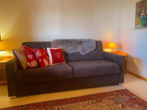 Aigle Royal, comfortable and bright 3-bedroom Apartment in Ollon