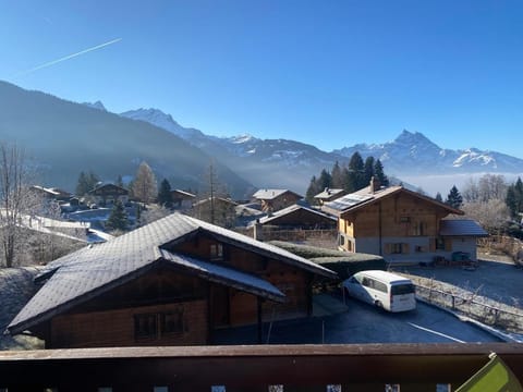 Aigle Royal, comfortable and bright 3-bedroom Apartment in Ollon
