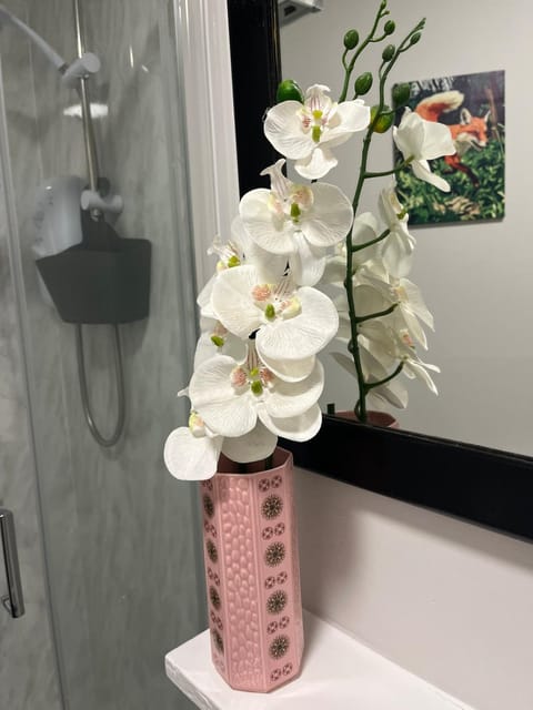 Gemini 2 Apartment in England