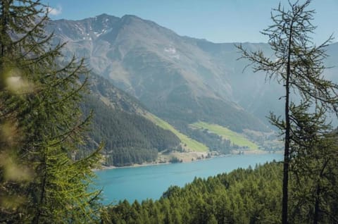 Natural landscape, Lake view