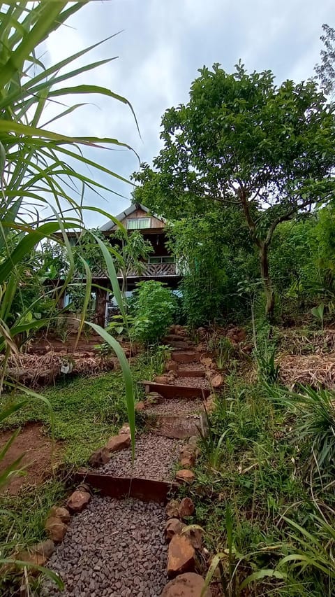 Day, Natural landscape, Garden view
