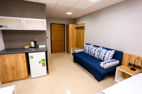 Living room, minibar, wardrobe