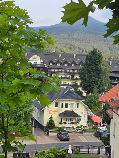 Property view