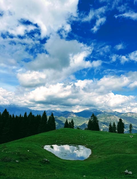 Spring, Natural landscape, Mountain view