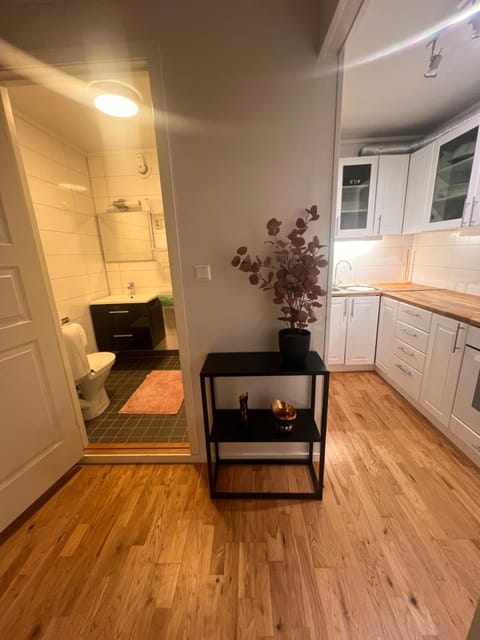 Apartment Aurora Apartment in Tromso