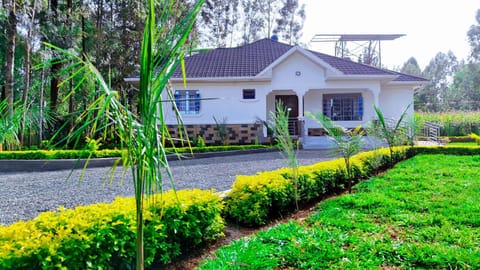 Property building, Day, Garden view