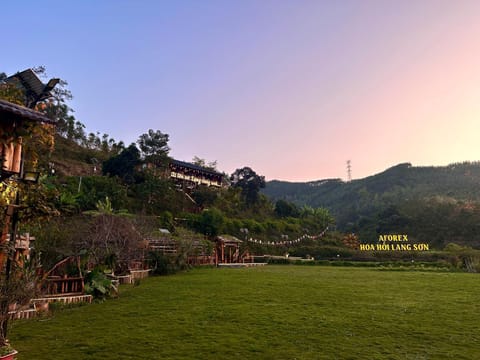 Day, Natural landscape, Garden, Garden view, Mountain view
