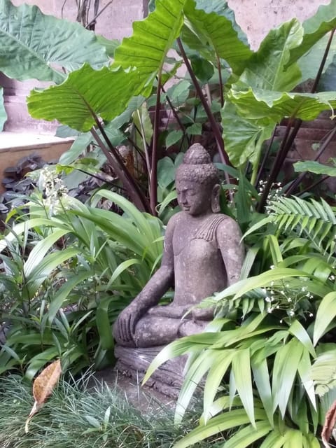 Honey Tree Villa- life is sweet! House in Abiansemal