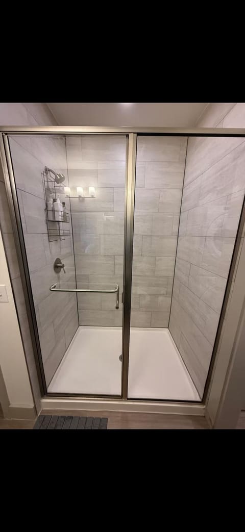 Cozy Luxury Modern Apartment movie couches Apartment in Addison