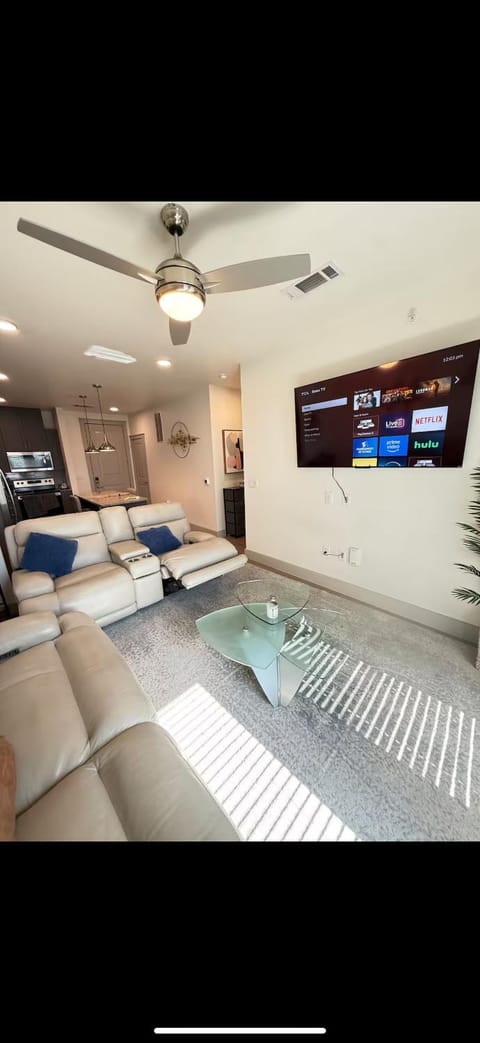 Cozy Luxury Modern Apartment movie couches Apartment in Addison