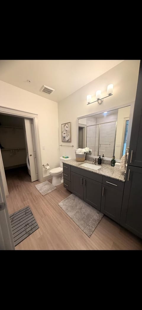 Cozy Luxury Modern Apartment movie couches Apartment in Addison