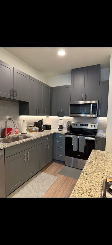 Cozy Luxury Modern Apartment movie couches Apartment in Addison