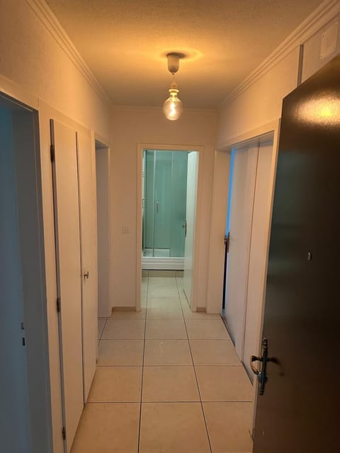 Furnished Apartment in Baden Apartment in Baden