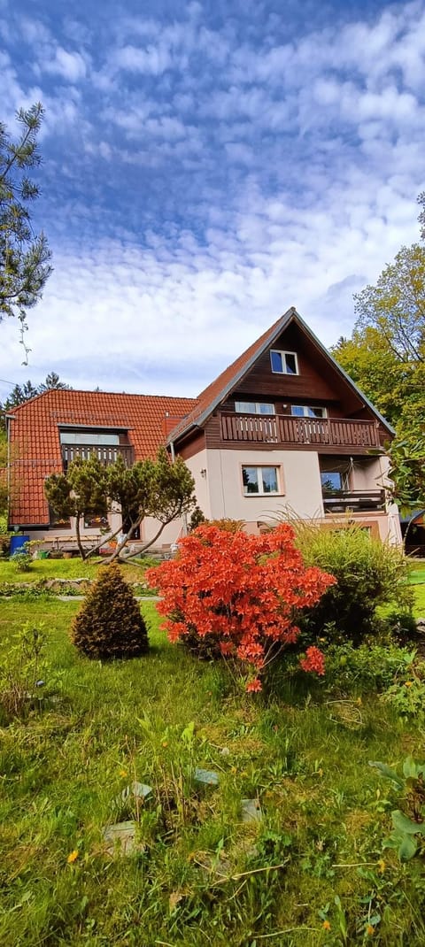 Property building, Garden, Garden view