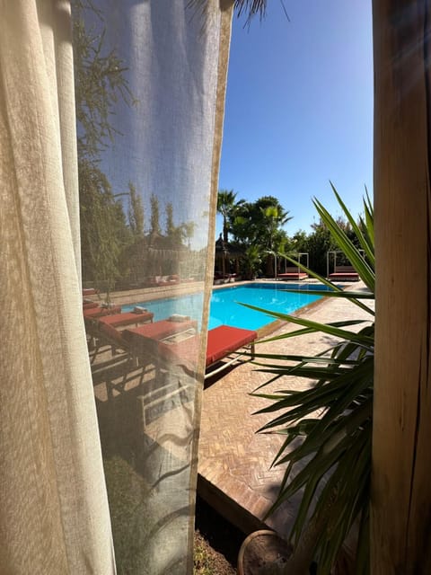 Property building, Garden, Swimming pool, minibar, sunbed