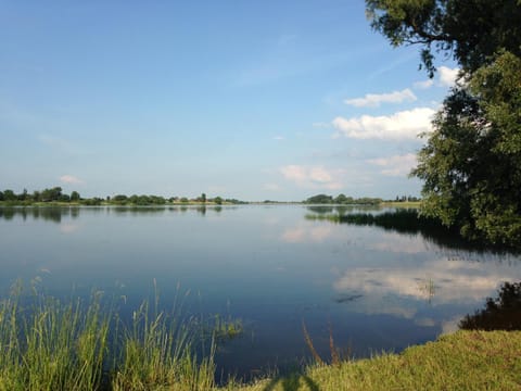 Natural landscape