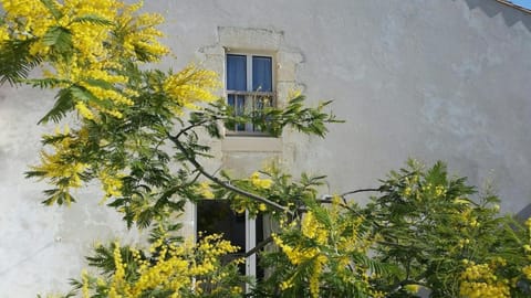 Property building, Spring