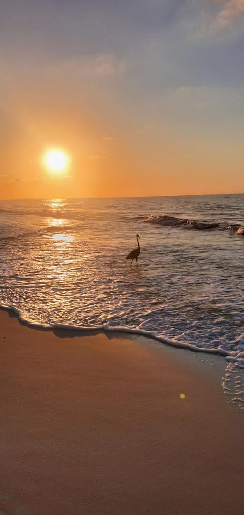 Natural landscape, Sunrise