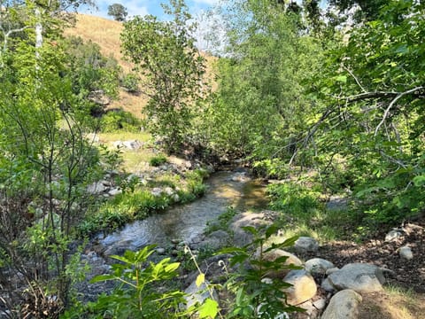 Natural landscape, Mountain view, River view