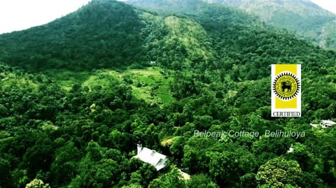 Bird's eye view, Mountain view