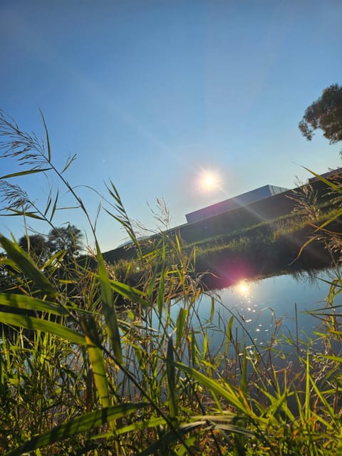 Im Grünen an der Schweizer Grenze Apartment in Vorarlberg, Austria