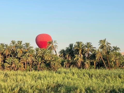 Day, Natural landscape