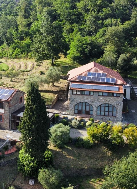 Property building, Bird's eye view