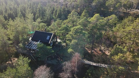 Property building, Bird's eye view