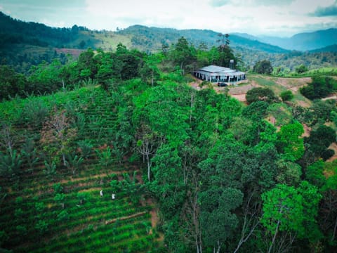 Property building, Mountain view