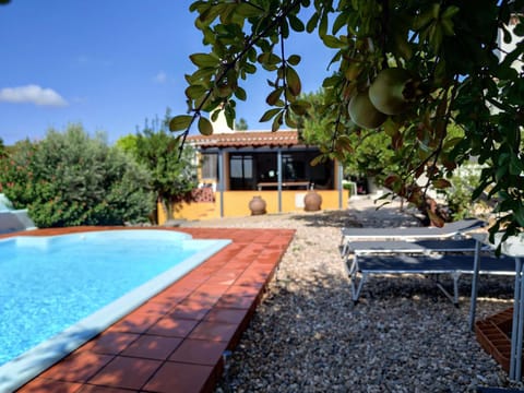 Day, Garden, Garden view, Swimming pool, sunbed