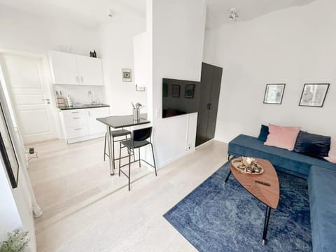 Cozy & Quiet 1BR Studio in the Heart of Aarhus Apartment in Aarhus