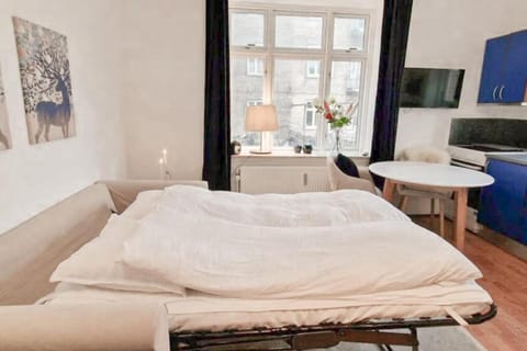 Central 1BR Studio - Walk Everywhere in Aarhus Apartment in Aarhus