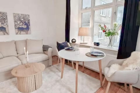 Central 1BR Studio - Walk Everywhere in Aarhus Apartment in Aarhus