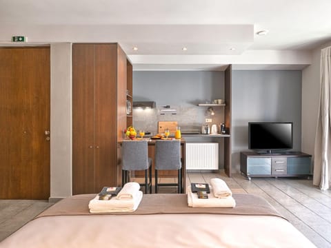 Bed, TV and multimedia, Coffee/tea facilities, Kitchen or kitchenette, Living room, Photo of the whole room, Seating area, Dining area, Bedroom, oven, wardrobe, kitchen