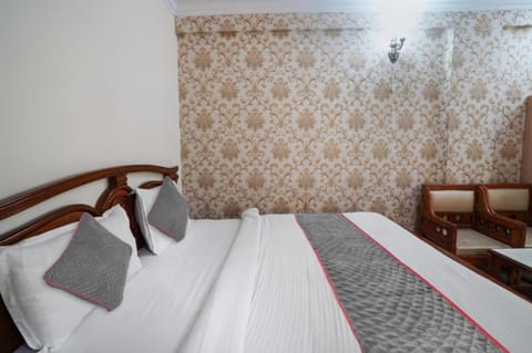 Blue sky Hotel in Jaipur