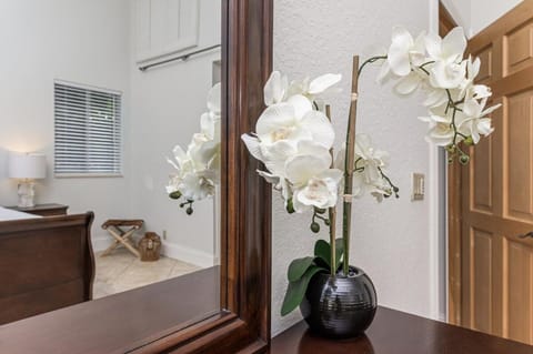 Oceanfront Luxury Villa 5Bedroom and 4Bath Beach Access House in Hollywood Beach