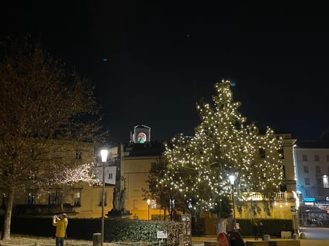 Ca' Baiacca Apartment in Sondrio