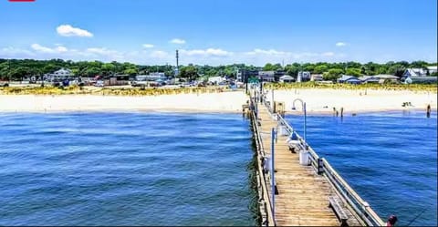 Cozy 2BR By Norfolk Base & Beach Apartment in Norfolk