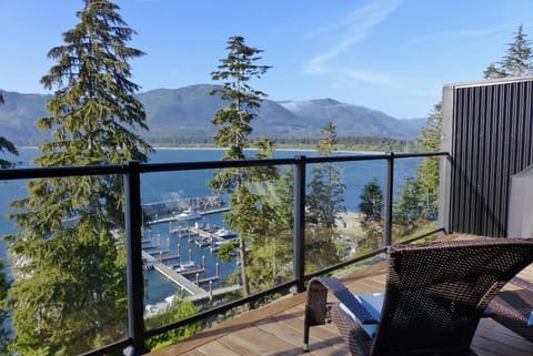 Amazing Oceanfront & Eagle Views pet Friendly - 2 bath House in Cowichan Valley