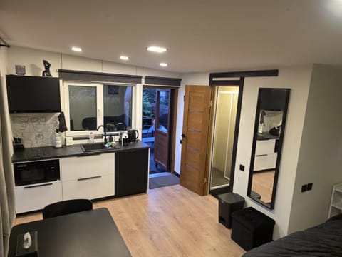Kitchen or kitchenette, stove